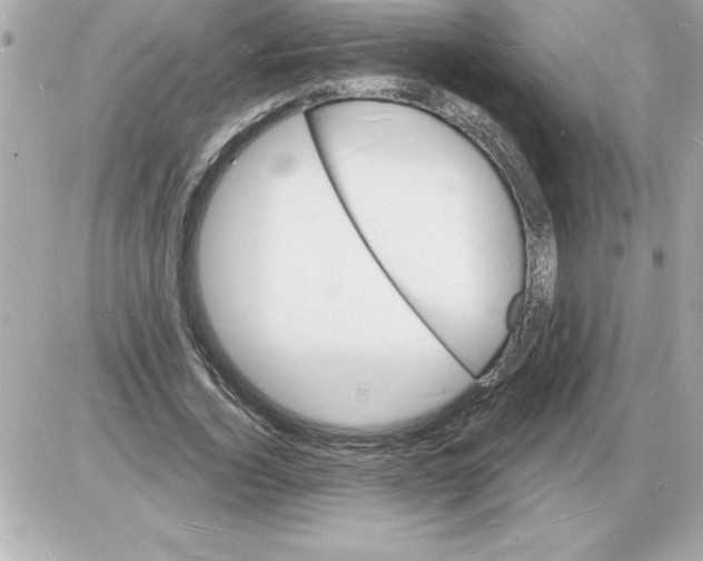 X0000085280732200704092206