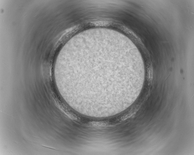 X0000085280733200704092206