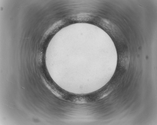 X0000085280735200704092206