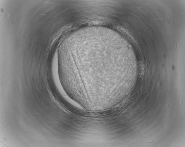 X0000085280738200704092206