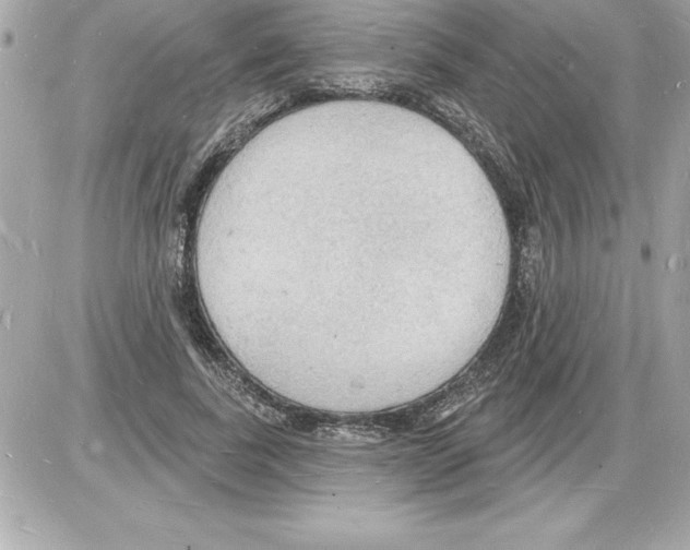 X0000085280739200704092206