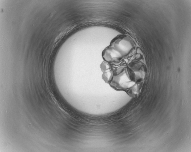 X0000085280740200704092206