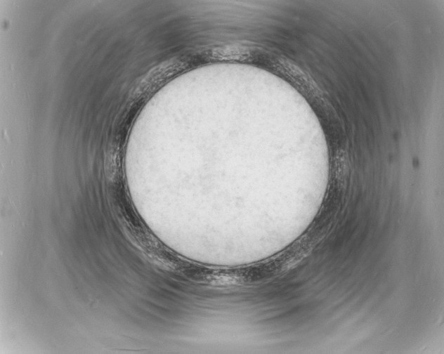 X0000085280741200704092206