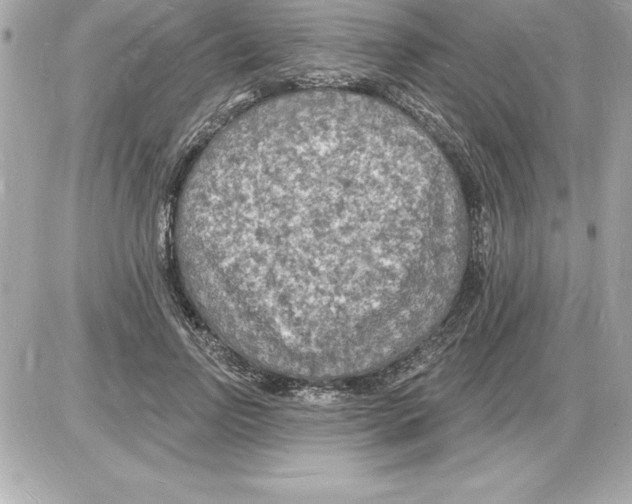 X0000085280742200704092206