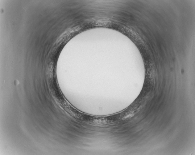 X0000085280744200704092206