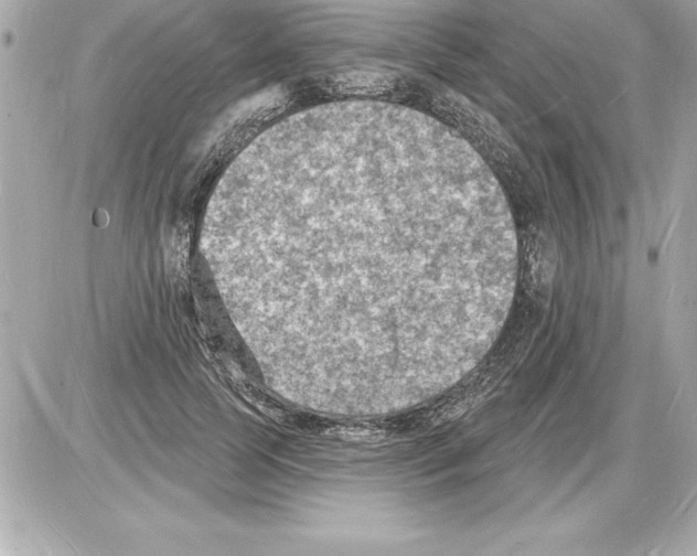 X0000085280745200704092206