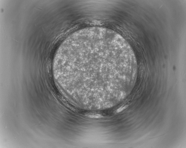 X0000085280747200704092206