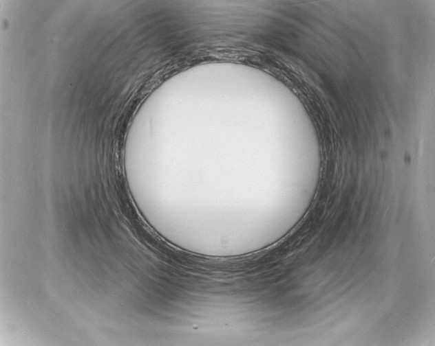 X0000085280748200704092206