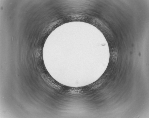 X0000085280756200704092206