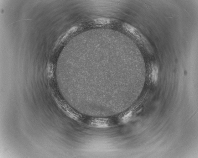 X0000085280758200704092206