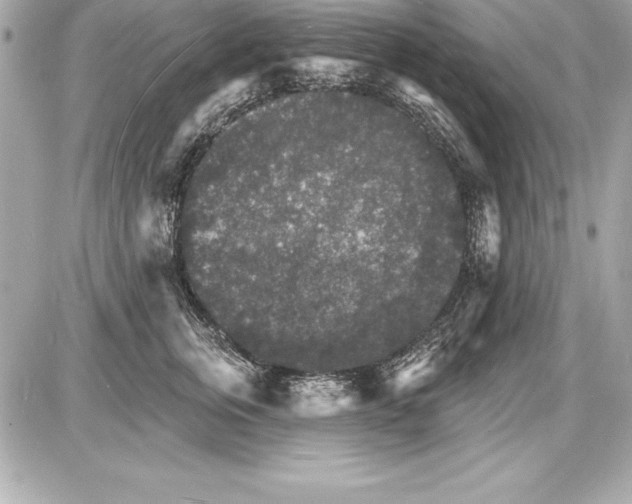 X0000085280759200704092206