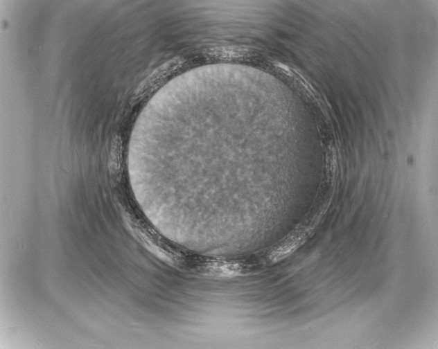 X0000085280760200704092206