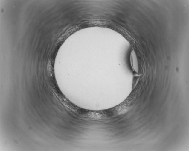 X0000085280764200704092206