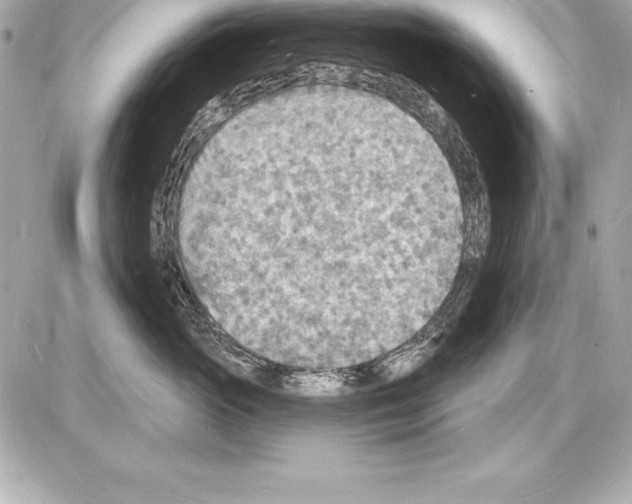 X0000085280765200704092206