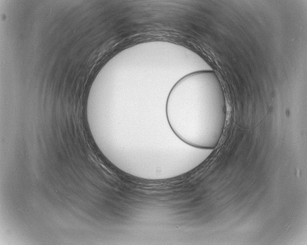 X0000085280766200704092206