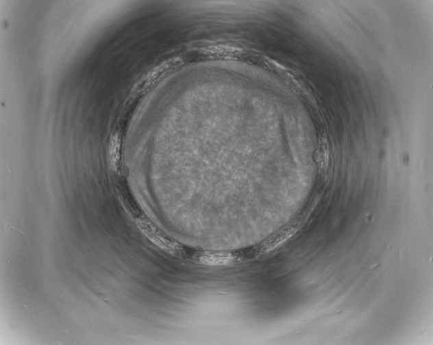 X0000085280767200704092206