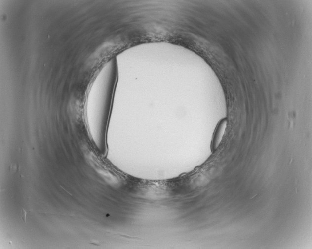 X0000085280768200704092206