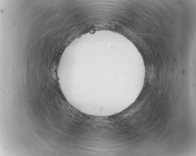 X0000085280770200704092205