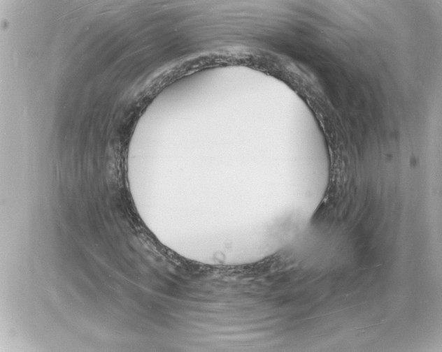 X0000085280773200704092205