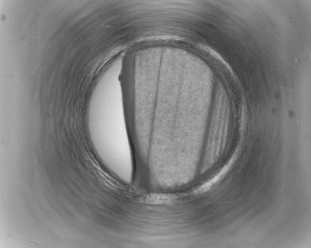 X0000085280777200704092205