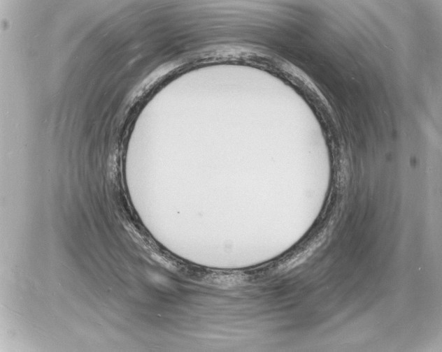 X0000085280778200704092205