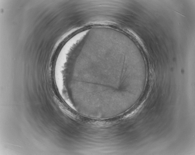 X0000085280779200704092205