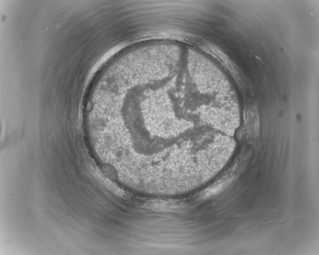 X0000085280780200704092205