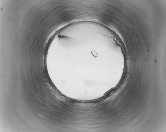 X0000085280781200704092205