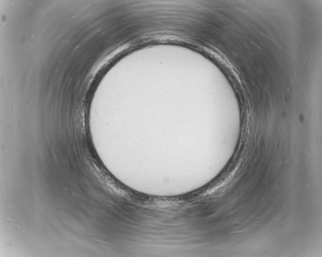 X0000085280782200704092205