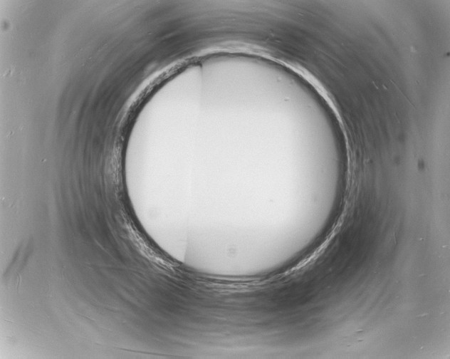 X0000085280783200704092205