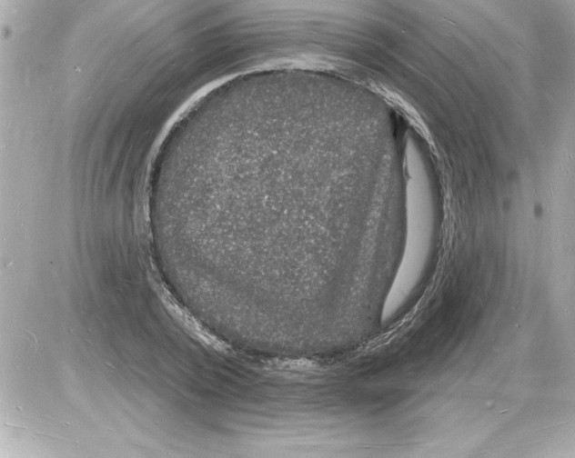 X0000085280784200704092205