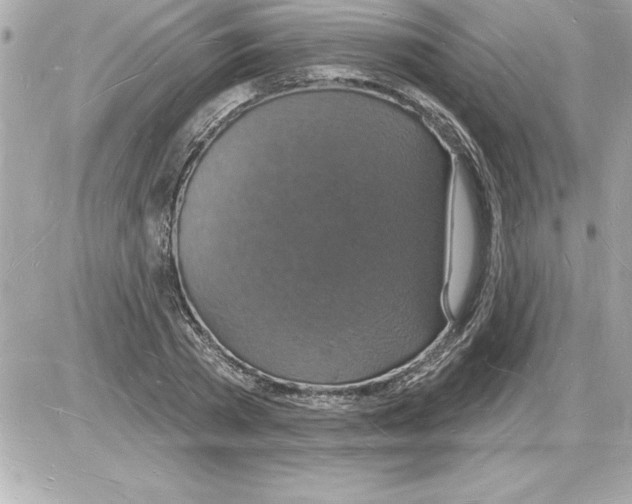 X0000085280785200704092205