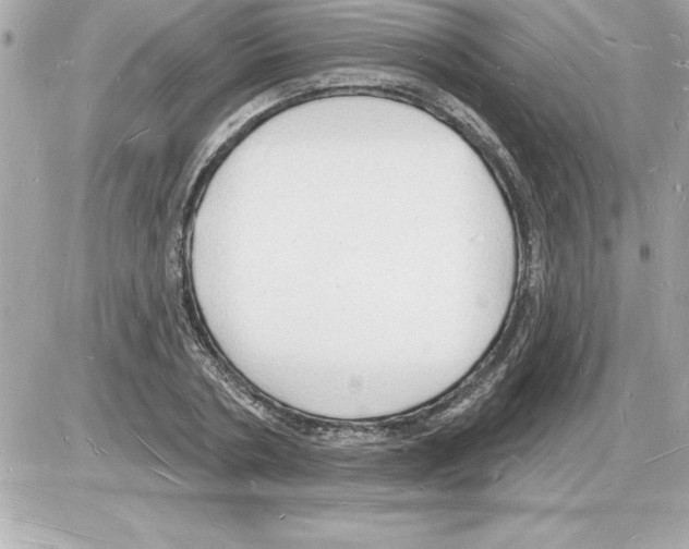 X0000085280786200704092205