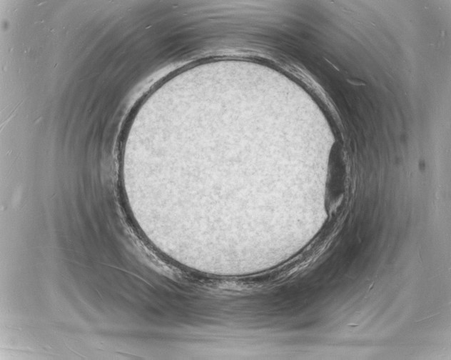 X0000085280787200704092205