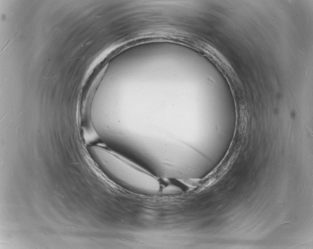 X0000085280788200704092205