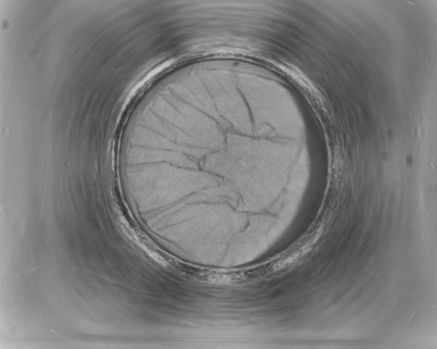 X0000085280790200704092205