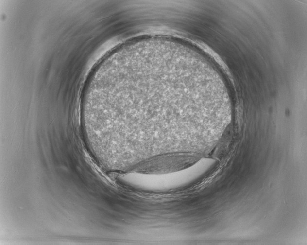 X0000085280791200704092205