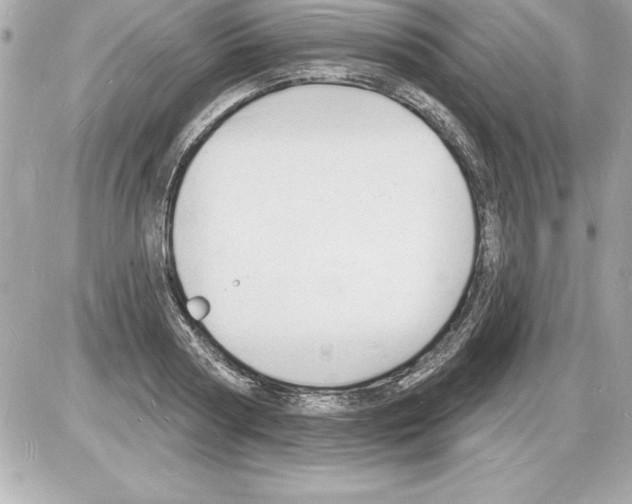 X0000085280794200704092205