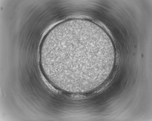 X0000085280795200704092205