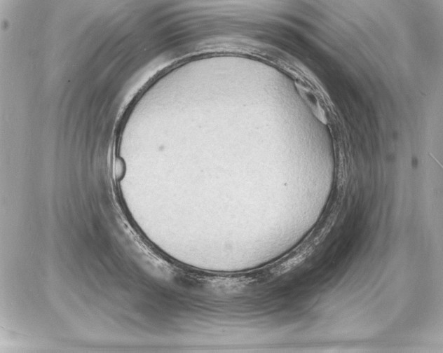 X0000085280796200704092205