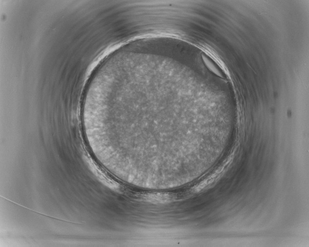 X0000085280797200704092205