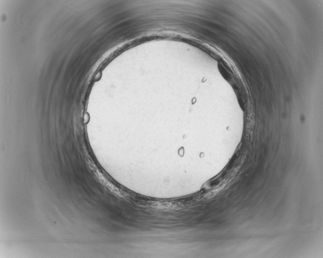 X0000085280799200704092205