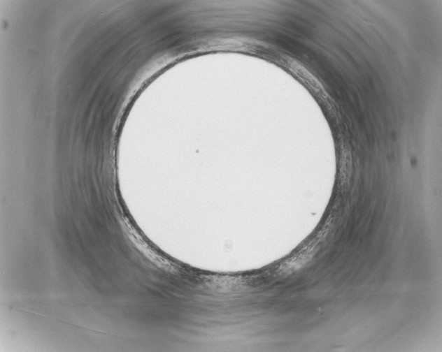 X0000085280800200704092205