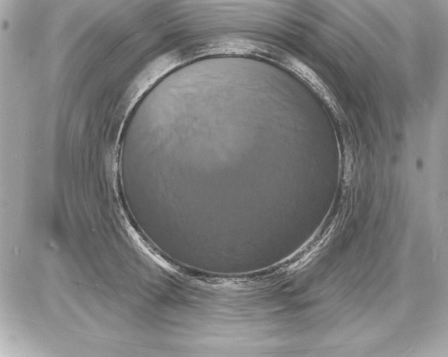 X0000085280802200704092205