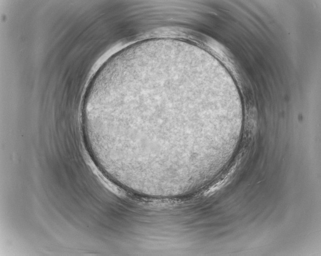 X0000085280803200704092205