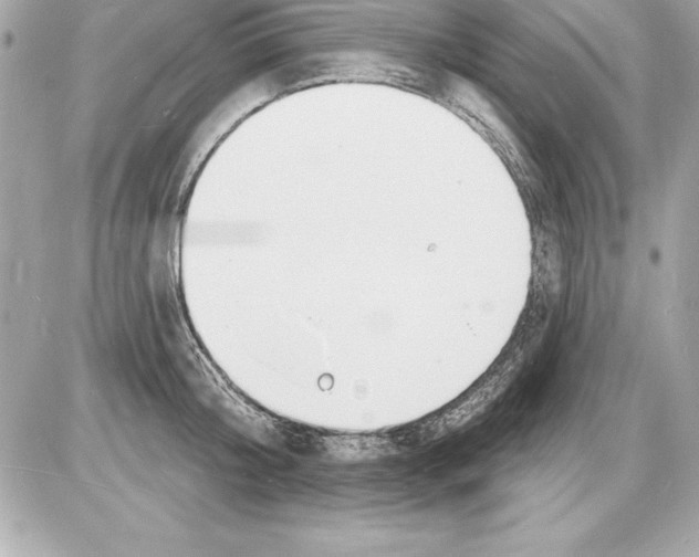 X0000085280804200704092205