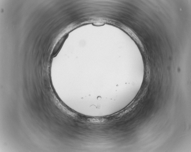 X0000085280805200704092205