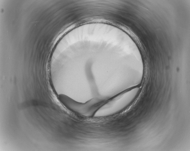 X0000085280806200704092205