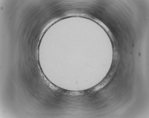 X0000085280807200704092205