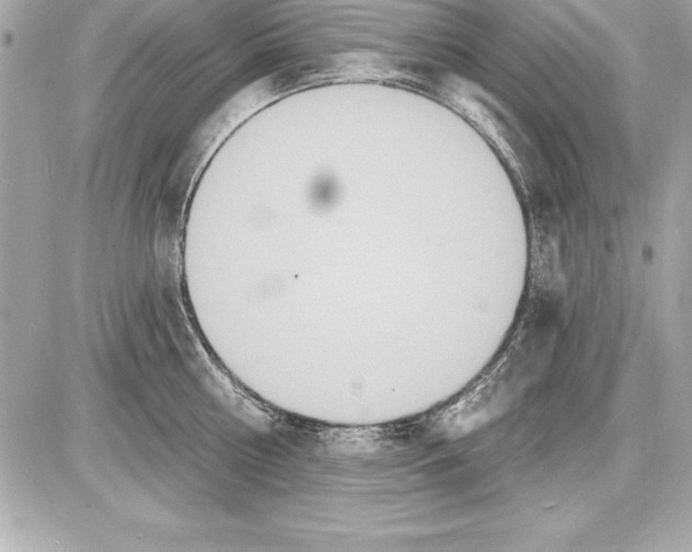 X0000085280810200704092205